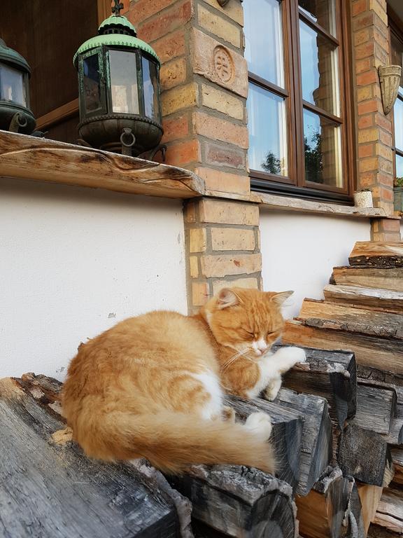 Édes Otthon Vendégház Nagyborzsony Esterno foto